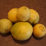 Andalusien Zitronen