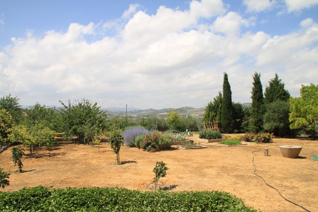 Cortijo Fuerte Alta Garten