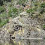 Extremadura Geier mittig links des Felsens